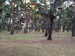 2011.11 (2)
