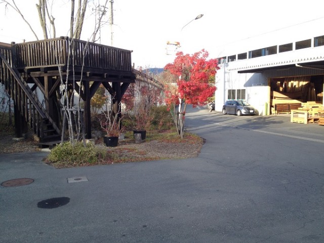 5 kaisei