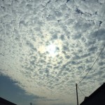 eigyo201567shinohara7