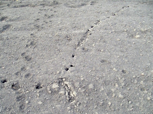IMGP0420